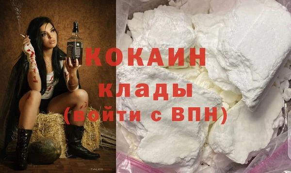 крисы Зеленодольск
