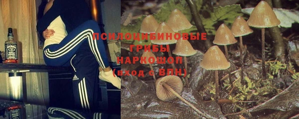 крисы Зеленодольск