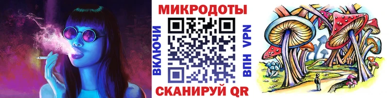 Купить закладки  Болохово  Галлюциногенные грибы Psilocybe 